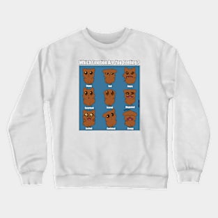 Emotions of A Cat Crewneck Sweatshirt